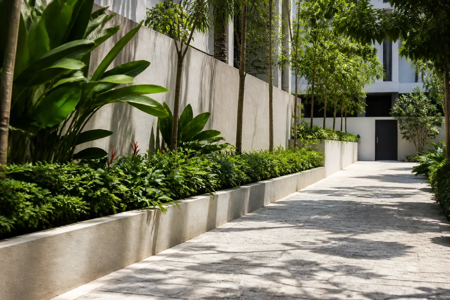 A shaded paved walkway bordered by leafy planting and pale walls